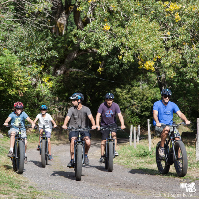 Le vélo à assistance électrique (VAE)